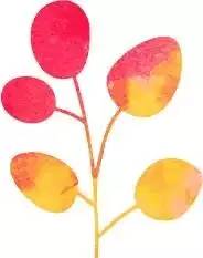 58同城我的简历_简历投递的平台_简历同步