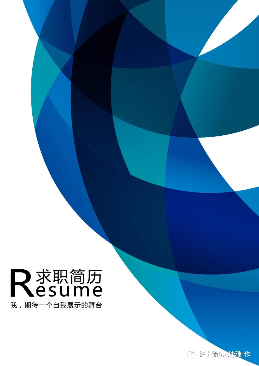 护士求职简历表格_简历求职表格护士怎么写_简单护士求职简历表格