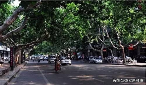 合肥凤台路租房_凤台路_宏达街到凤鸣路凤台路