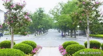 合肥凤台路租房_宏达街到凤鸣路凤台路_凤台路