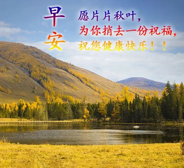 早安鸡汤语录_心灵毒鸡汤_早安心灵鸡汤励志职场