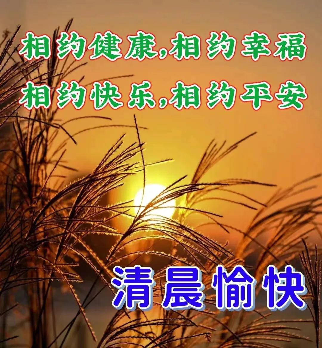 早安鸡汤语录_早安心灵鸡汤励志职场_心灵毒鸡汤