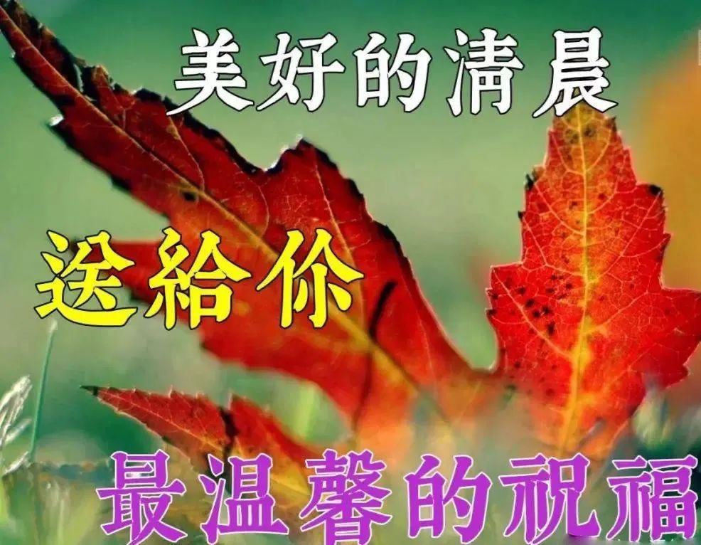 早安心语:为别人着想,才不失活的洒脱(图1) 早安心灵鸡汤励志职场_职场励志鸡汤语录_职场早安鸡汤励志短语