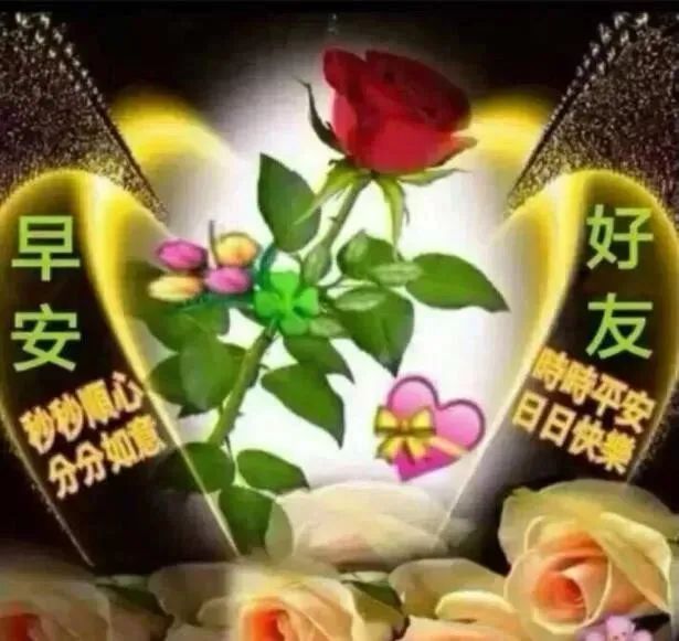 早安心语:为别人着想,才不失活的洒脱(图10) 早安心灵鸡汤励志职场_职场早安鸡汤励志短语_职场励志鸡汤语录