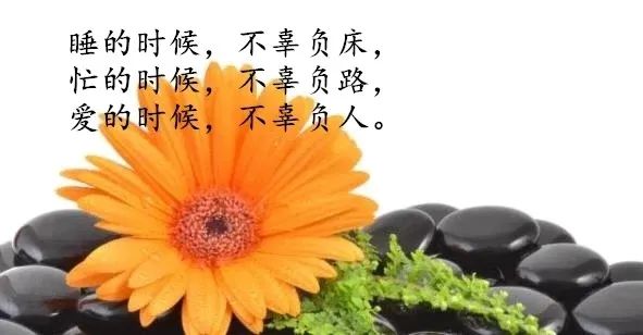 早安心语:为别人着想,才不失活的洒脱(图2) 职场早安鸡汤励志短语_职场励志鸡汤语录_早安心灵鸡汤励志职场