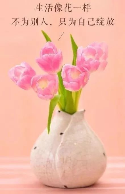 早安心语:为别人着想,才不失活的洒脱(图3) 职场早安鸡汤励志短语_早安心灵鸡汤励志职场_职场励志鸡汤语录