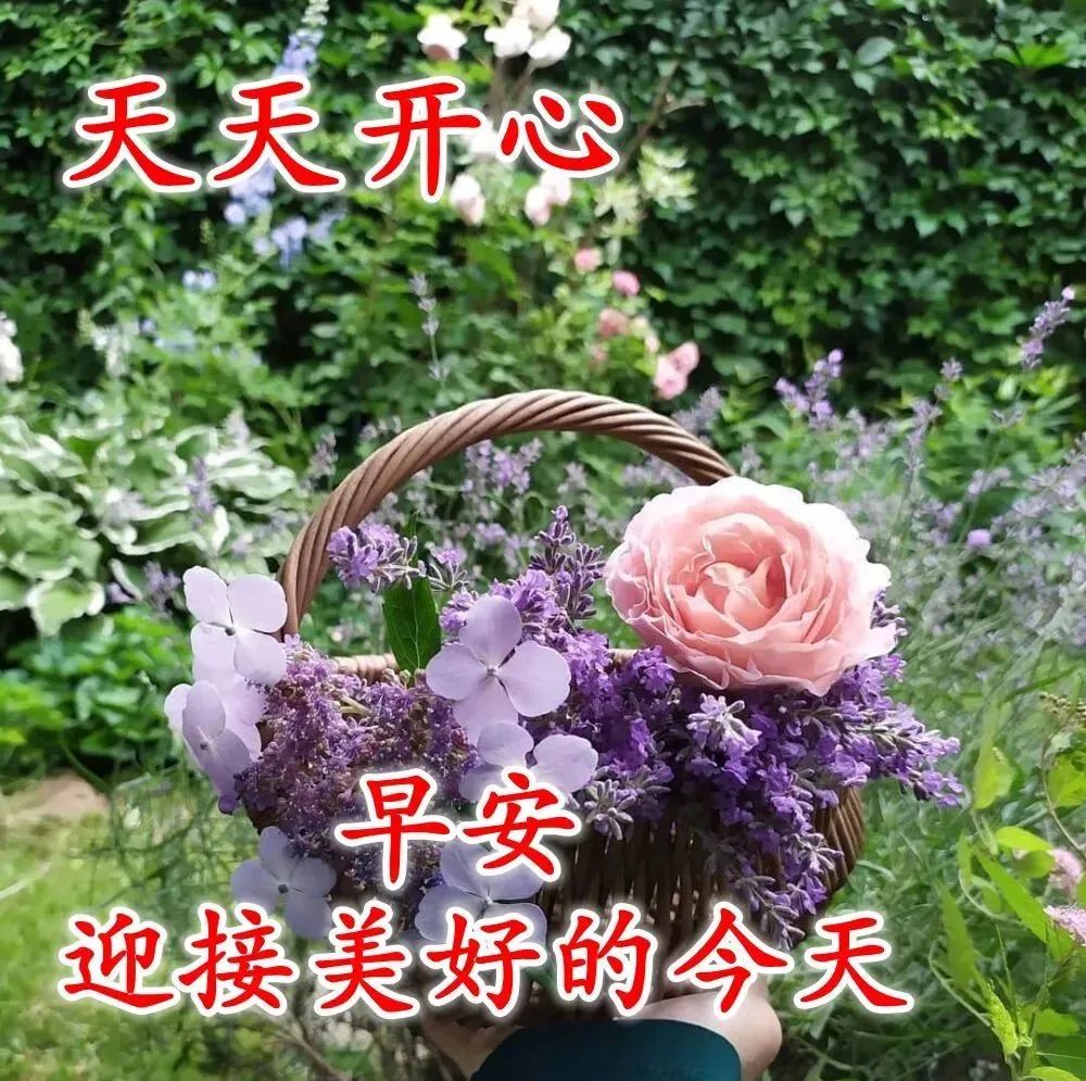 早安心语:为别人着想,才不失活的洒脱(图4) 职场励志鸡汤语录_早安心灵鸡汤励志职场_职场早安鸡汤励志短语