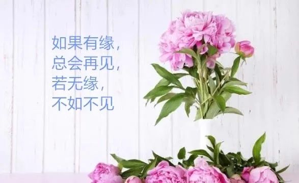 早安心语:为别人着想,才不失活的洒脱(图5) 职场早安鸡汤励志短语_早安心灵鸡汤励志职场_职场励志鸡汤语录