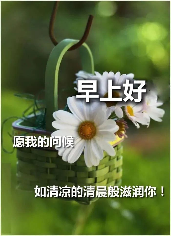 早安心语:为别人着想,才不失活的洒脱(图8) 职场励志鸡汤语录_职场早安鸡汤励志短语_早安心灵鸡汤励志职场