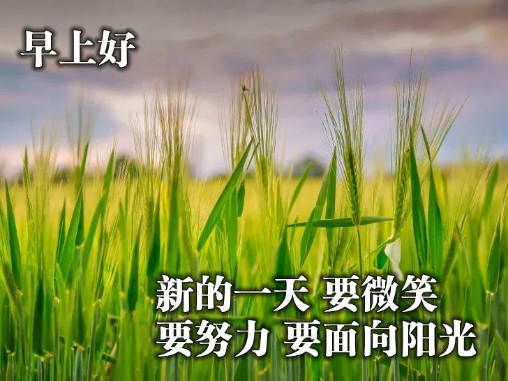 早安心语:不要尽力而为,而要全力以赴(图1) 职场正能量早安语录_2021职场鸡汤_早安心灵鸡汤励志职场