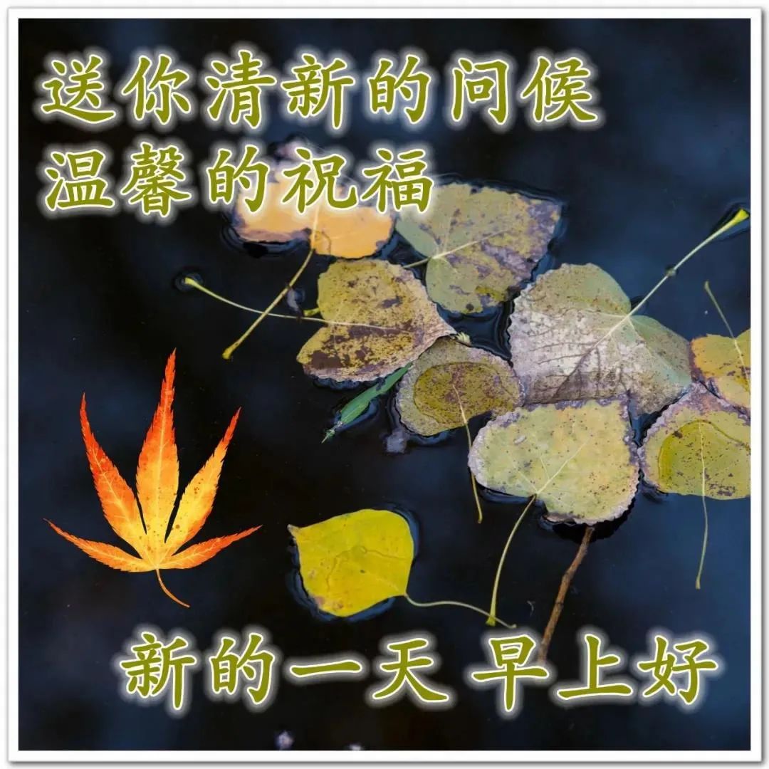 早安心语:不要尽力而为,而要全力以赴(图11) 职场正能量早安语录_2021职场鸡汤_早安心灵鸡汤励志职场