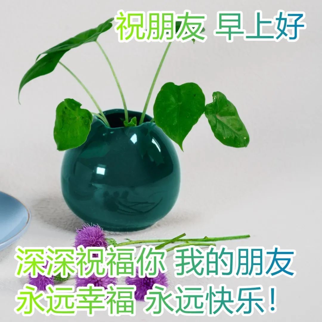 早安心语:不要尽力而为,而要全力以赴(图5) 2021职场鸡汤_早安心灵鸡汤励志职场_职场正能量早安语录