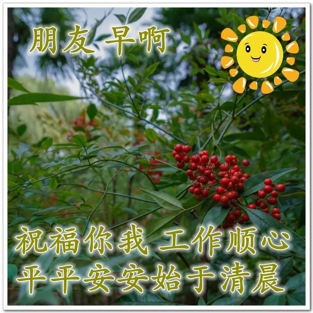 早安心语:不要尽力而为,而要全力以赴(图9) 2021职场鸡汤_职场正能量早安语录_早安心灵鸡汤励志职场