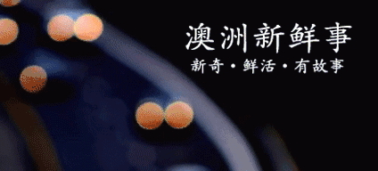 海归金融就业情况_金融 海归求职简历_简历求职海归金融专家