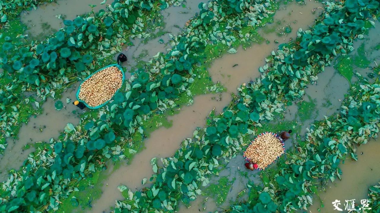 宿迁摄影招聘师最新信息_宿迁招聘摄影师_宿迁摄影培训学校