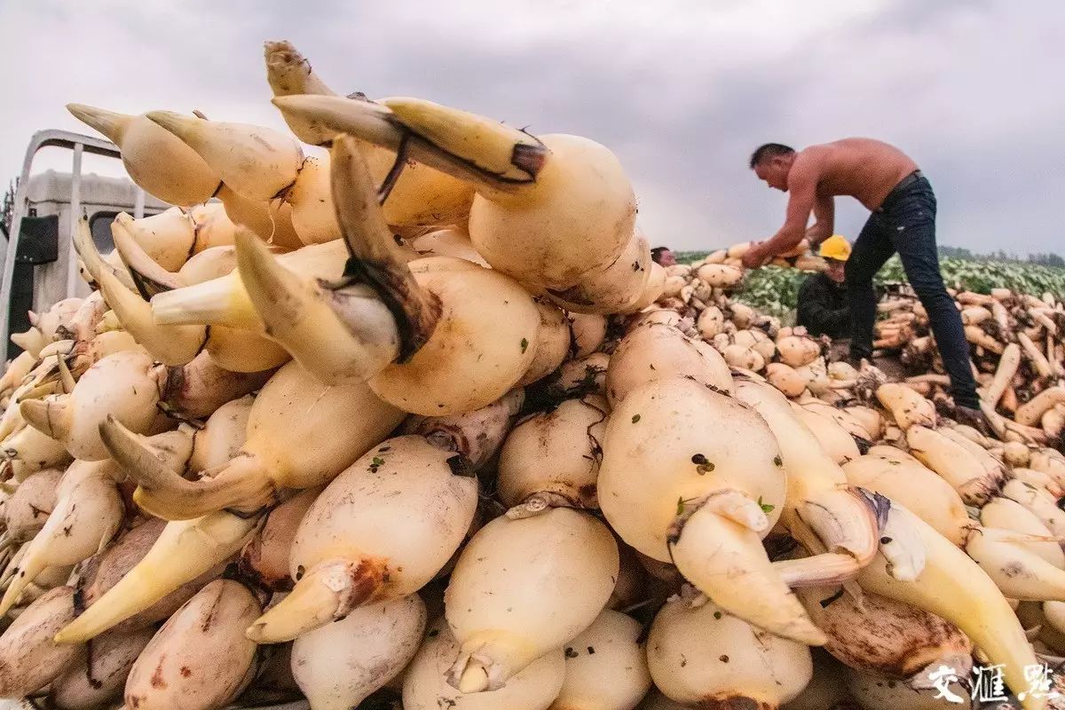 宿迁招聘摄影师_宿迁摄影招聘师最新信息_宿迁摄影培训学校
