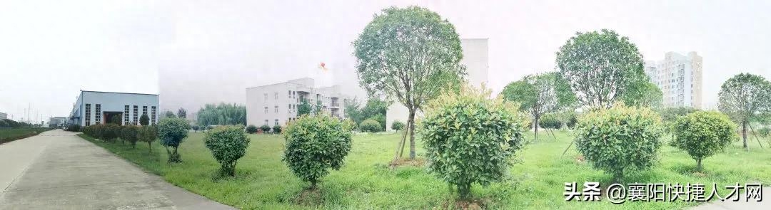 襄阳招聘司机信息_襄阳招聘司机_襄阳招聘司机最新信息