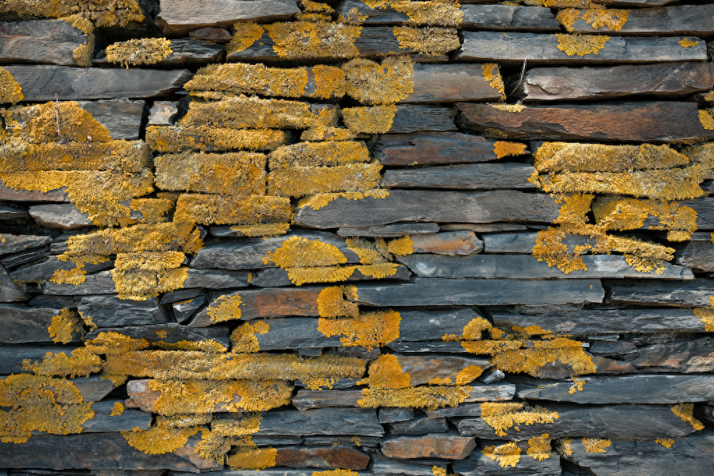 求职简历经历怎么写_产品经理求职简历模板_产品经理求职简历