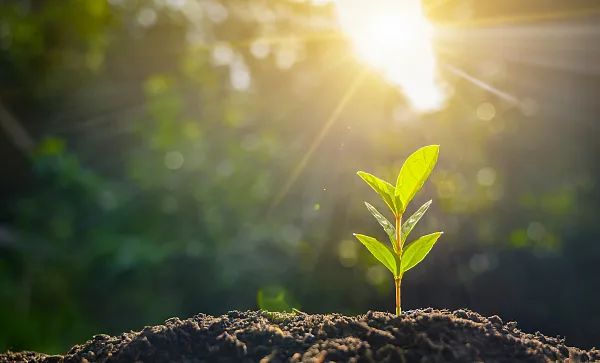 职场小白升级_职场小白进阶之路_彼岸职场小白升职记