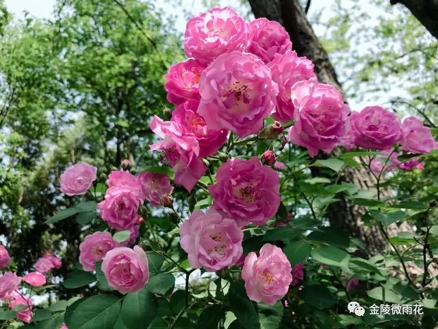 凤台南路属于哪个区_凤台南路属于哪个街道_凤台南路