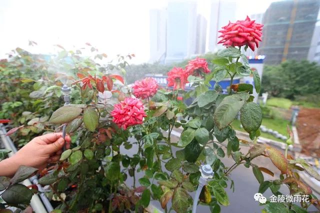 凤台南路_凤台南路属于哪个区_凤台南路属于哪个街道