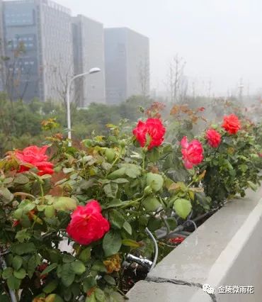 凤台南路属于哪个街道_凤台南路属于哪个区_凤台南路