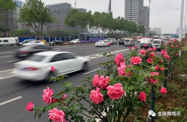 凤台南路属于哪个街道_凤台南路属于哪个区_凤台南路