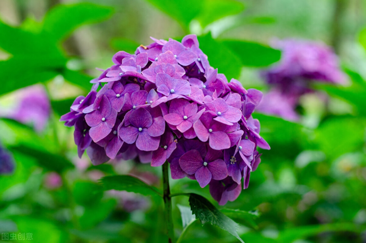 头像职场女性_职场微信头像_头像职场