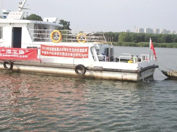 凤台淮河二桥多长_凤台淮河大桥_凤台淮河二桥