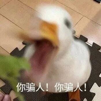 简历知乎个人信息怎么修改_简历个人信息 知乎_简历里的个人信息