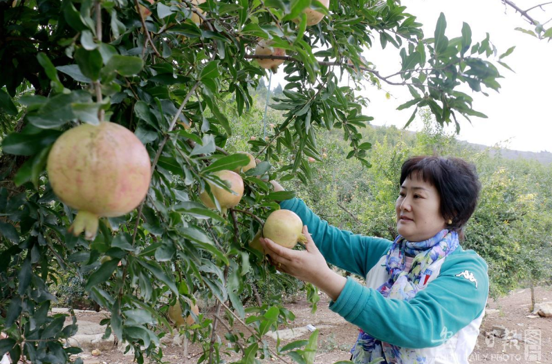 凤台县政府办_凤台县政务网_安徽省凤台政府网