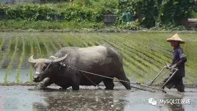 程序编程员好学吗_程序员职场_在哪找程序编写员