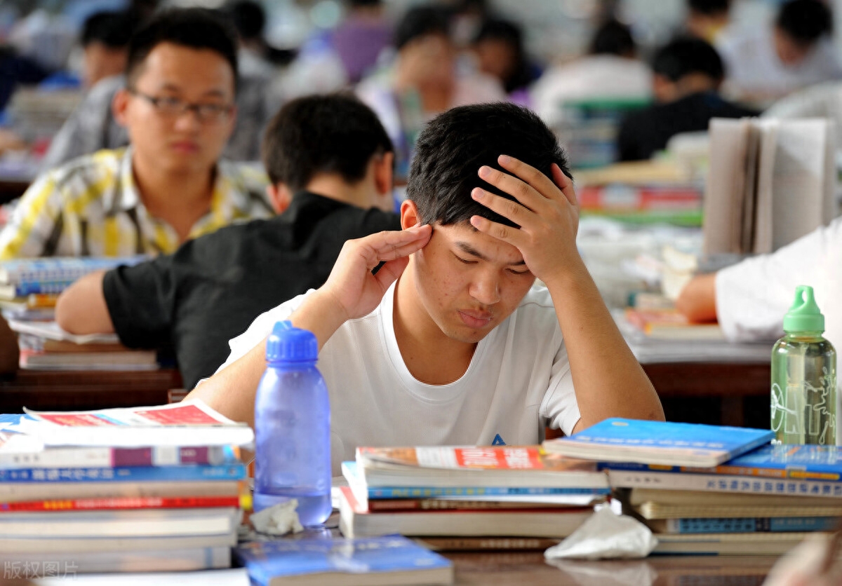 职场职员_职场人员是什么意思_程序员职场
