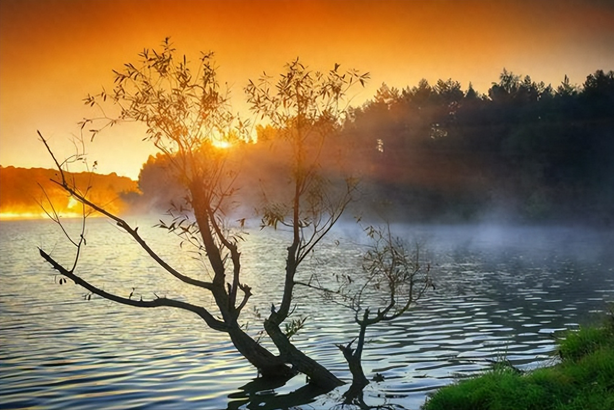 职场沟通理念包含哪些内容_职场中的沟通案例_对事不对人 沟通职场 理论