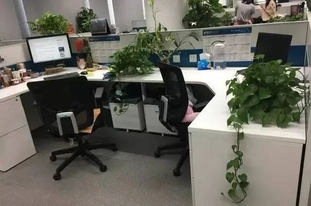 职场狠忍滚法则_职场里的法则_职场狼道法则