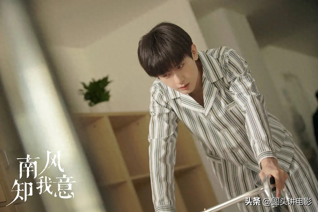 青春职场电视剧排行榜_职场电视剧2020推荐_职场电视剧前十名