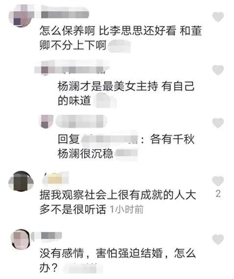 央视主持人杨澜个人简历_央视主持人杨澜的个人简介_央视主持人杨澜简历