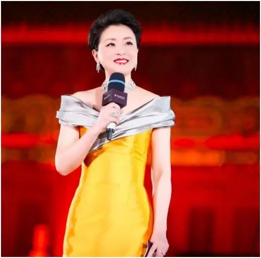 央视主持人杨澜的个人简介_央视主持人杨澜个人简历_央视主持人杨澜简历