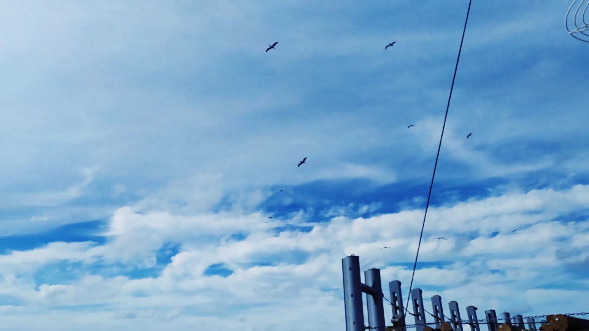 航运在线船员招聘_航运在线船员招聘_航运在线船员招聘