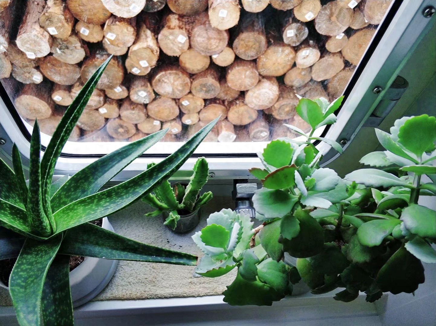 航运在线船员招聘_航运在线船员招聘_航运在线船员招聘