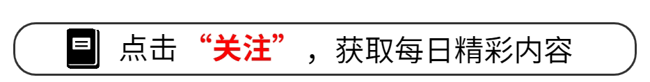 职场新人职业素养_职场化素养新人_职场新人应具备的素质