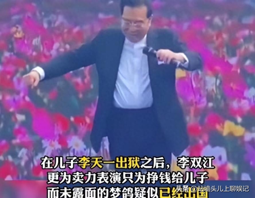 李双江妻子丁英是几婚_李双江前妻丁英简历_丁贺李双江