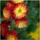 职场服饰搭配图片_职场服饰搭配_职场服饰搭配的技巧