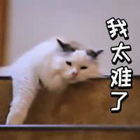 职场剧排行榜前十名豆瓣_豆瓣职场书籍_初入职场 豆瓣