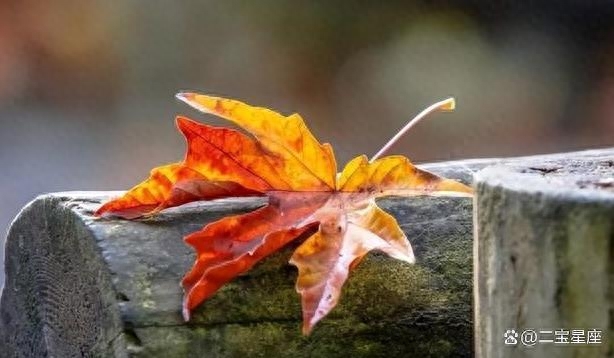 职场叫你小姑娘什么意思_什么叫职场_职场叫姐姐合适吗