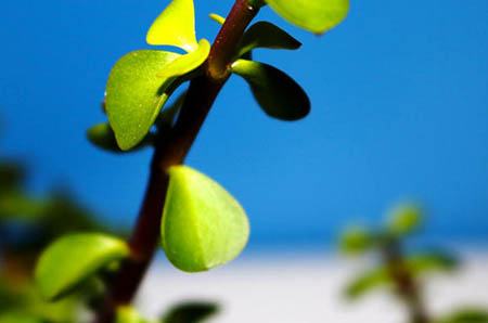 全职带娃的“大军”,你是哪一种?(图2) 全职妈妈和职场妈妈的理解_全职妈妈 职场_职场妈妈全职妈妈