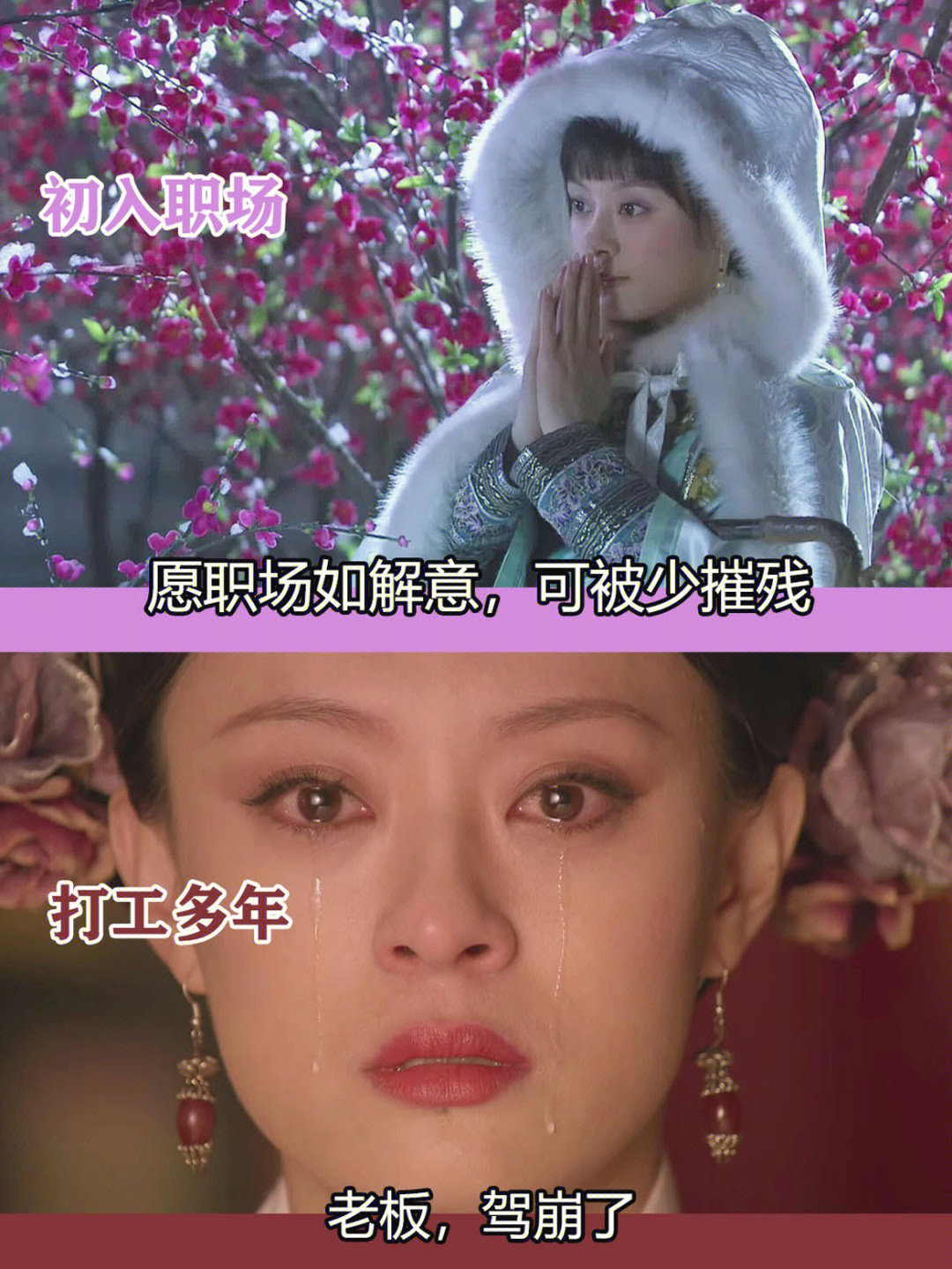 职场甄嬛传电视剧_职场甄嬛传卫临_职场甄嬛传