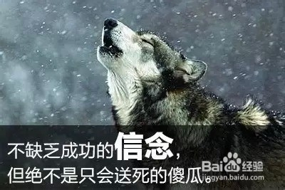 掌握这种职场心态学给你的初入职场职业生涯发展趋势得更强(图1) 培训职场心态毕业生心得体会_毕业生职场心态培训_职场心态培训总结