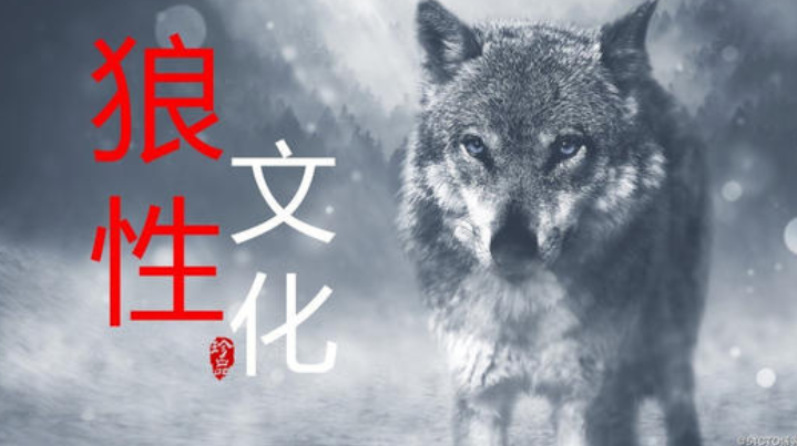 掌握这种职场心态学给你的初入职场职业生涯发展趋势得更强(图2) 职场心态培训总结_培训职场心态毕业生心得体会_毕业生职场心态培训