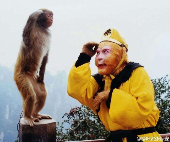 看谁听谁的：5分钟让人信服的职场心理攻防术_看谁听谁的：5分钟让人信服的职场心理攻防术_看谁听谁的：5分钟让人信服的职场心理攻防术